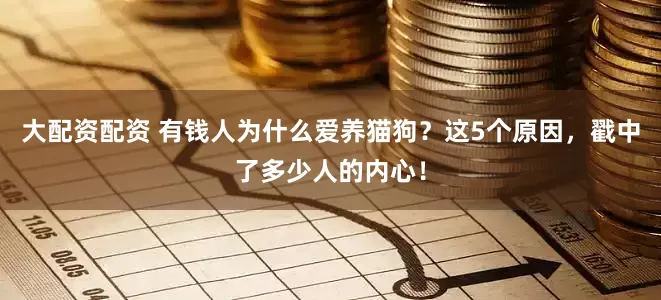 大配资配资 有钱人为什么爱养猫狗？这5个原因，戳中了多少人的内心！
