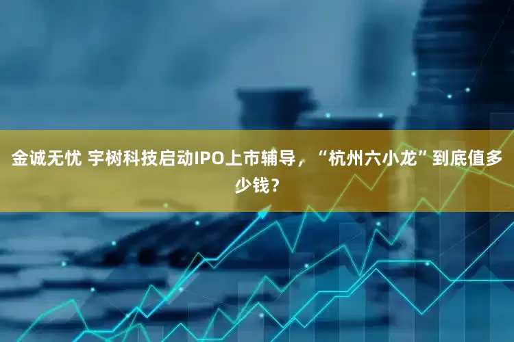 金诚无忧 宇树科技启动IPO上市辅导，“杭州六小龙”到底值多少钱？
