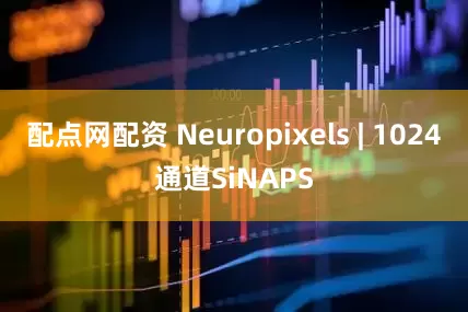 配点网配资 Neuropixels | 1024通道SiNAPS