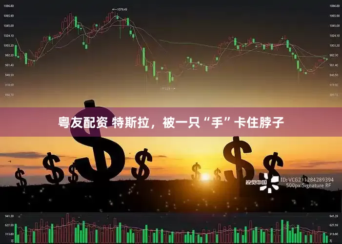 粤友配资 特斯拉，被一只“手”卡住脖子