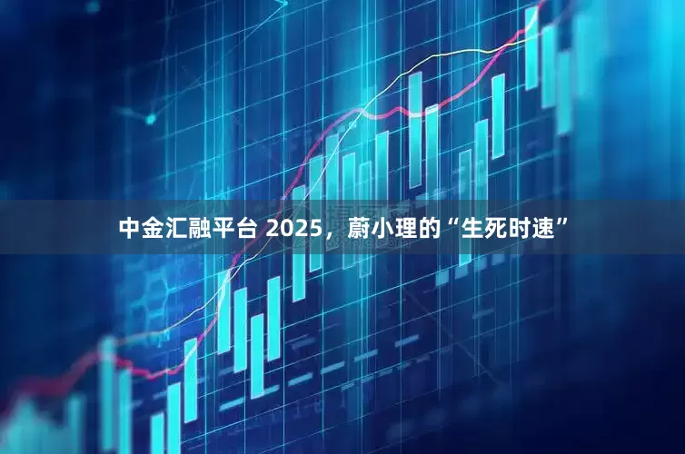 中金汇融平台 2025，蔚小理的“生死时速”