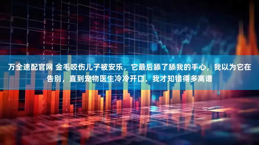 万全速配官网 金毛咬伤儿子被安乐，它最后舔了舔我的手心，我以为它在告别，直到宠物医生冷冷开口，我才知错得多离谱