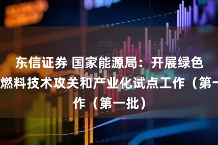 东信证券 国家能源局：开展绿色液体燃料技术攻关和产业化试点工作（第一批）